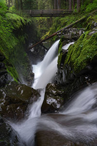 Waterfall flowing in mossy forest under wooden bridge