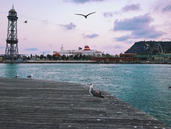 View of birds on pier over water against sky