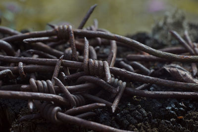 Close-up of rusty chain