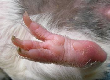 Close-up of cropped hand