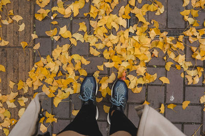 Photo background of feet wearing shoes surrounded by dry leaves