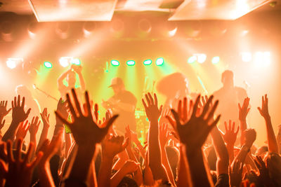 Crowd enjoying at music concert