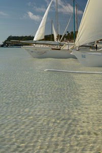 Sailboats sailing on sea against sky