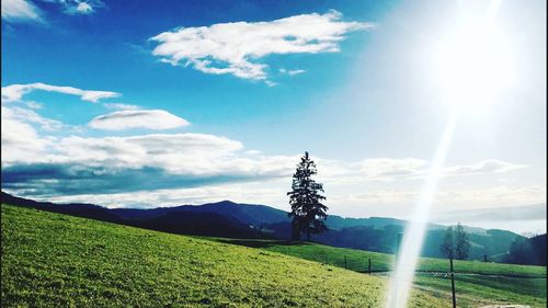 Scenic view of landscape against sky