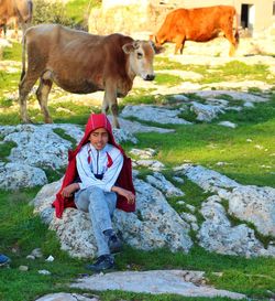 Boy looking away while sitting on rock against cows on grass