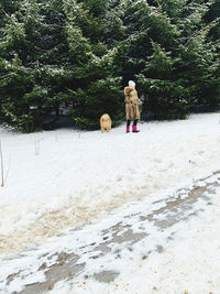 Rear view of dog walking in snow