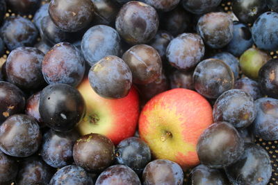 Full frame shot of apples