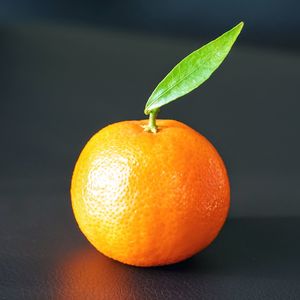 Close-up of oranges