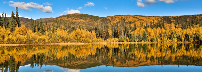 Reflection of trees on lake during autumn