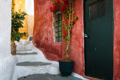 Detail of colorful architecture in anafiotika neighborhood of athens.