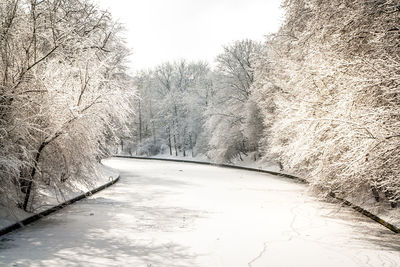 Frozen canal amidst snow covered trees