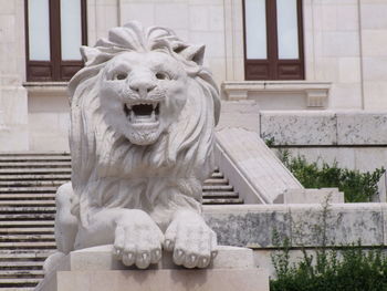 Close-up of a lion statue against the wall