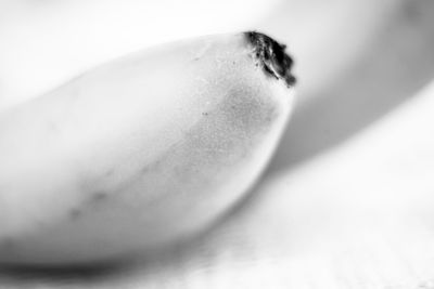 Close-up of fruit on white table