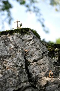 Close-up of lizard on rock against sky