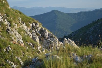 Scenic view of landscape and mountains