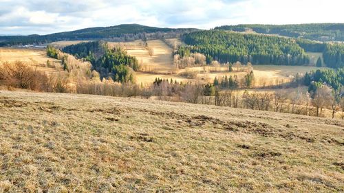 Scenic view of landscape against sky