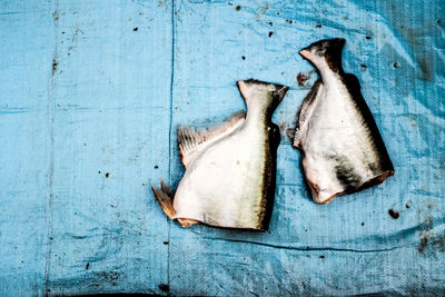 High angle view of fish on table