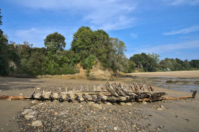 Scenic view of beach against sky
