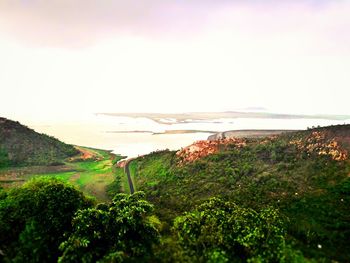 Scenic view of landscape against clear sky