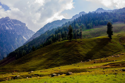 Scenic view of landscape and mountains against sky