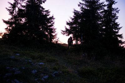 Silhouette trees on field against sky at forest