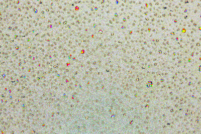 Full frame shot of multi colored wall