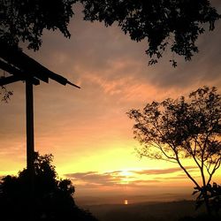 Silhouette of trees at sunset