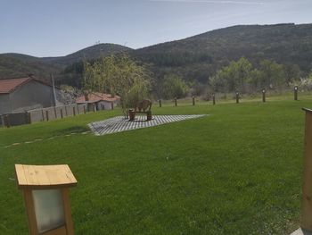 Scenic view of field against sky