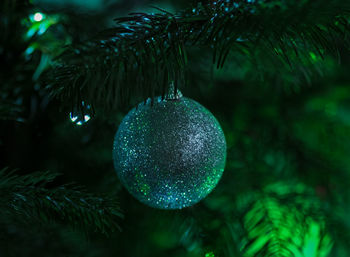 Close-up of illuminated christmas tree