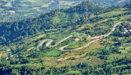 High angle view of trees on landscape