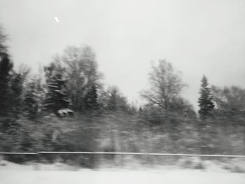 Trees against clear sky during winter