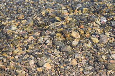 Full frame shot of pebbles on beach