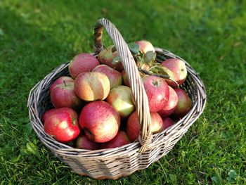 Close-up of fruits in basket on field
