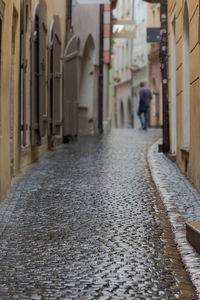 Rear view of person walking on street amidst buildings