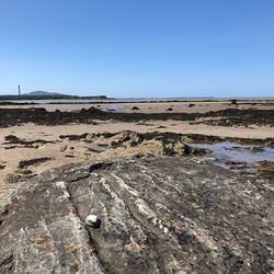 Scenic view of landscape against clear blue sky