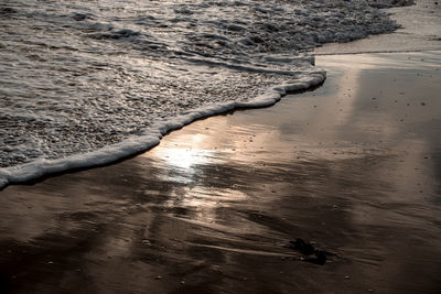 High angle view of wet shore