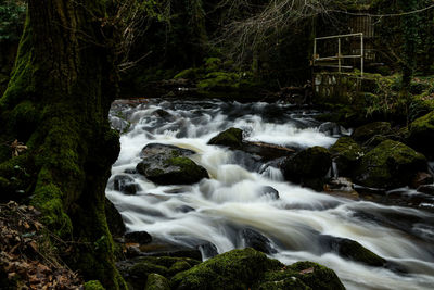 Water flowing through rocks in forest