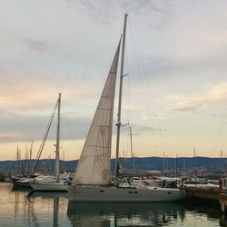 Boats in harbor