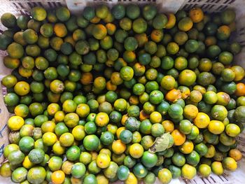 Lemons for sale at market