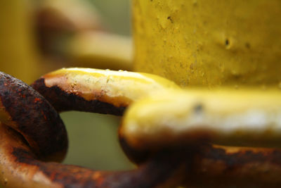 Close-up of bread