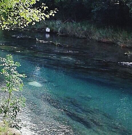 SCENIC VIEW OF LANDSCAPE AGAINST WATER