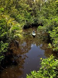 Reflection of trees in water