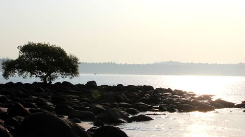 Scenic view of sea against clear sky