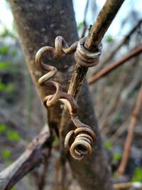 Close-up of rusty metal