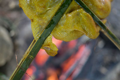 Close-up of raindrops on yellow leaves