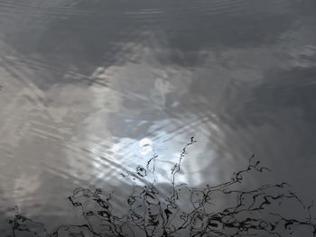 High angle view of birds in lake against sky