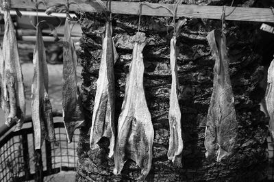 Close-up of clothes drying