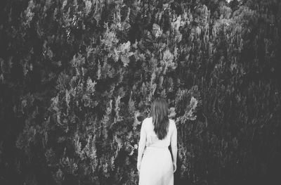 Rear view of woman standing by tree