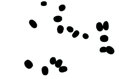 Close-up of colored pencils over white background