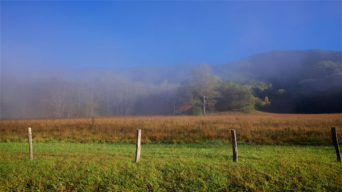 Scenic view of field against sky